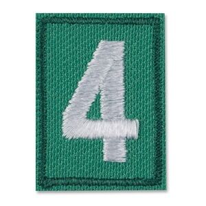 Girl Scouts Troop Number - 4